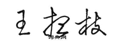 駱恆光王想枝草書個性簽名怎么寫