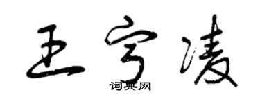 曾慶福王寧凌草書個性簽名怎么寫