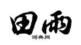 胡問遂田雨行書個性簽名怎么寫