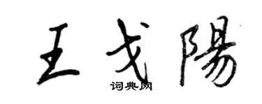 王正良王戈陽行書個性簽名怎么寫