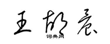 梁錦英王胡晨草書個性簽名怎么寫