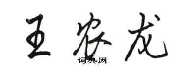 駱恆光王農龍行書個性簽名怎么寫