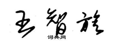 朱錫榮王智旋草書個性簽名怎么寫