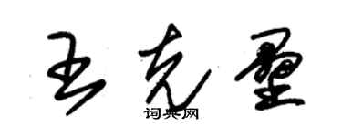 朱錫榮王克壘草書個性簽名怎么寫