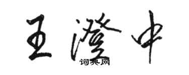 駱恆光王澄中行書個性簽名怎么寫