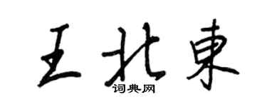 王正良王北東行書個性簽名怎么寫