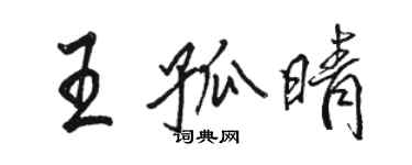 駱恆光王孤晴行書個性簽名怎么寫