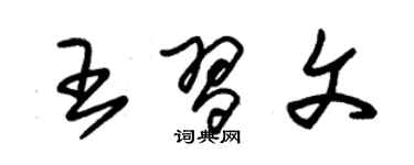 朱錫榮王習文草書個性簽名怎么寫