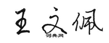 駱恆光王文佩行書個性簽名怎么寫