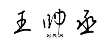 梁錦英王帥丞草書個性簽名怎么寫