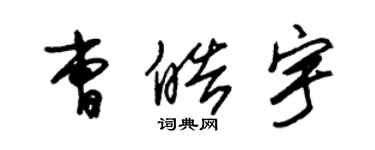 朱錫榮曹皓宇草書個性簽名怎么寫