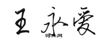 駱恆光王永愛行書個性簽名怎么寫