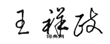 駱恆光王祥政草書個性簽名怎么寫