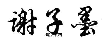 胡問遂謝子墨行書個性簽名怎么寫
