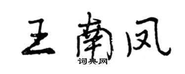 曾慶福王南鳳行書個性簽名怎么寫