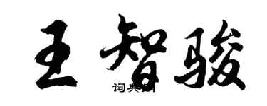 胡問遂王智駿行書個性簽名怎么寫
