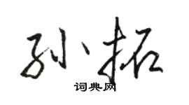 駱恆光孫拓行書個性簽名怎么寫