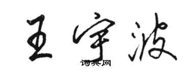 駱恆光王宇波行書個性簽名怎么寫
