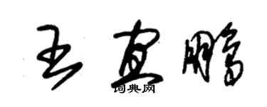 朱錫榮王宜鵬草書個性簽名怎么寫