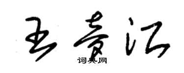 朱錫榮王夢江草書個性簽名怎么寫