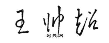 駱恆光王帥超草書個性簽名怎么寫