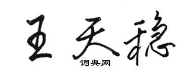 駱恆光王天穩行書個性簽名怎么寫