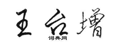 駱恆光王台增行書個性簽名怎么寫