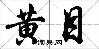 胡問遂黃目行書怎么寫