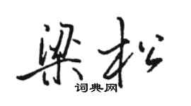 駱恆光梁松行書個性簽名怎么寫