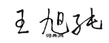 駱恆光王旭純草書個性簽名怎么寫