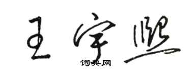 駱恆光王宇熙草書個性簽名怎么寫