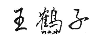 駱恆光王鶴子行書個性簽名怎么寫