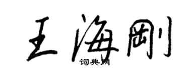 王正良王海剛行書個性簽名怎么寫