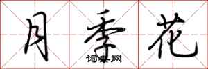 荊霄鵬月季花行書怎么寫