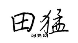 王正良田猛行書個性簽名怎么寫