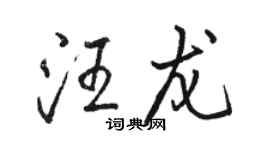 駱恆光汪龍行書個性簽名怎么寫