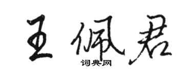 駱恆光王佩君行書個性簽名怎么寫