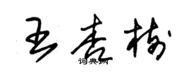 朱錫榮王杏樹草書個性簽名怎么寫