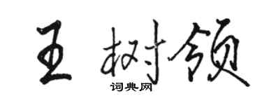 駱恆光王樹領行書個性簽名怎么寫