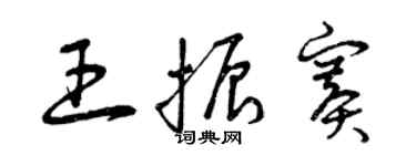 曾慶福王振賽草書個性簽名怎么寫