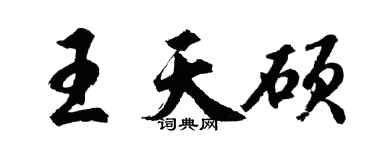 胡問遂王天碩行書個性簽名怎么寫