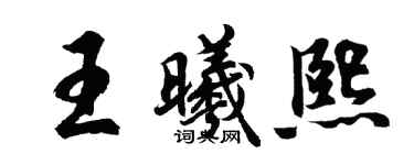 胡問遂王曦熙行書個性簽名怎么寫