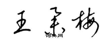 梁錦英王舉梅草書個性簽名怎么寫