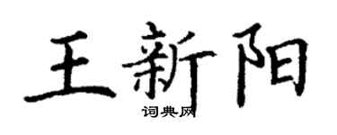 丁謙王新陽楷書個性簽名怎么寫