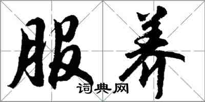 胡問遂服養行書怎么寫