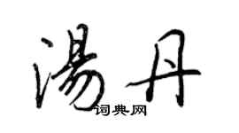 王正良湯丹行書個性簽名怎么寫