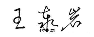 駱恆光王泰岩草書個性簽名怎么寫