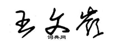 朱錫榮王文嶺草書個性簽名怎么寫