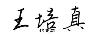 王正良王培真行書個性簽名怎么寫