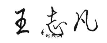 駱恆光王志凡行書個性簽名怎么寫